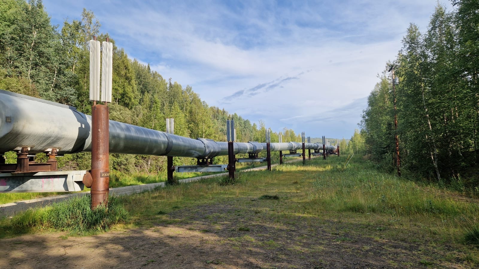 Trans-Alaska pipeline
