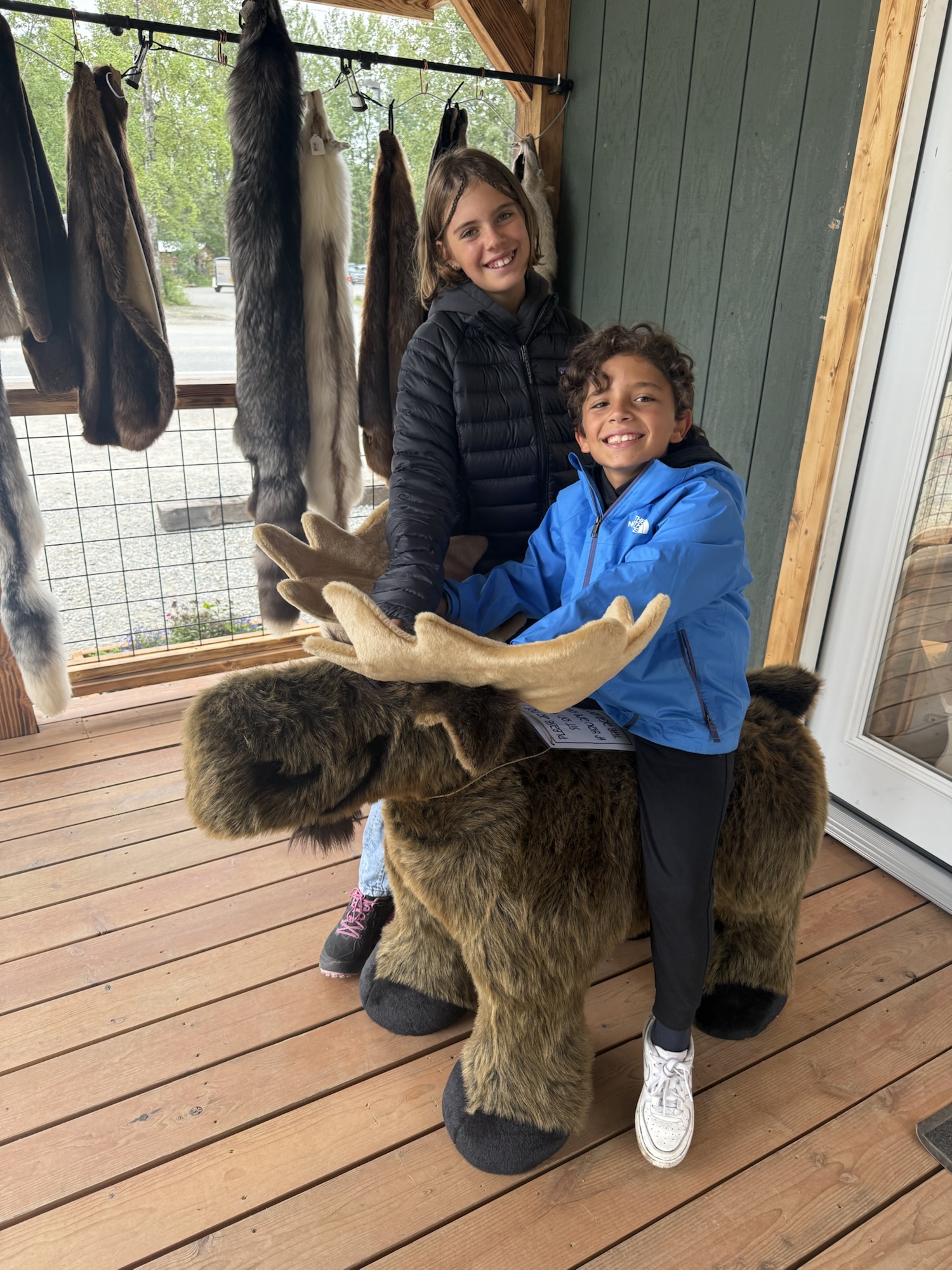 Talkeetna e Denali